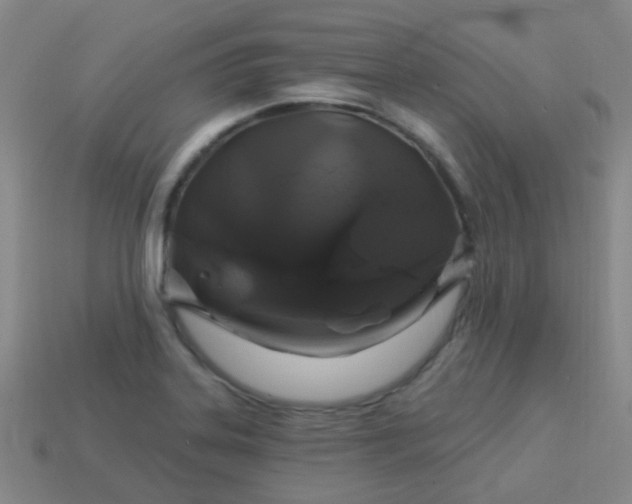 X0000114121323200910191715