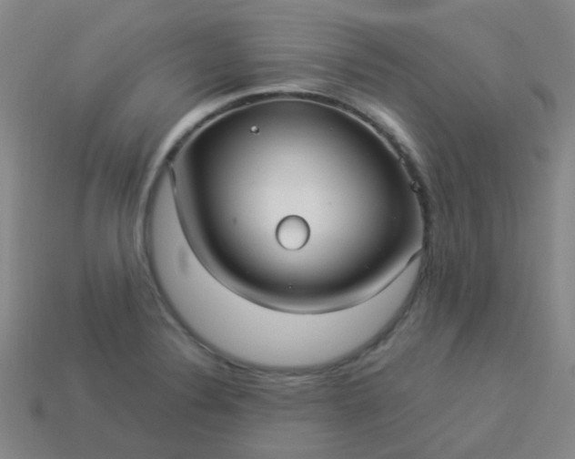 X0000114121324200910191715