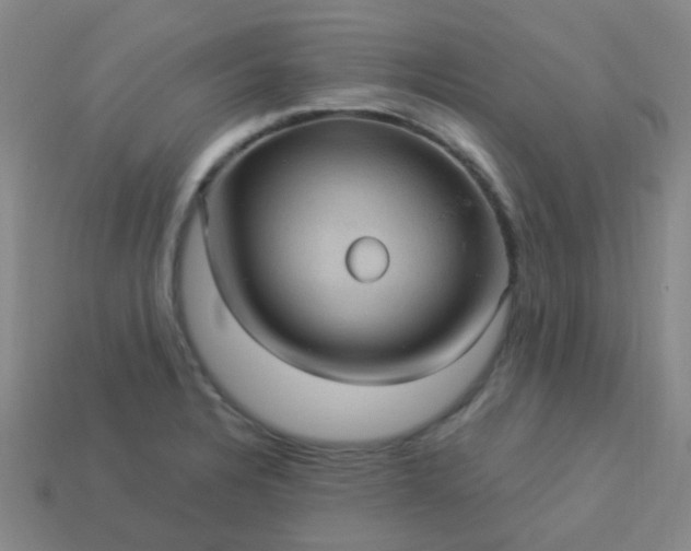 X0000114121328200910191715