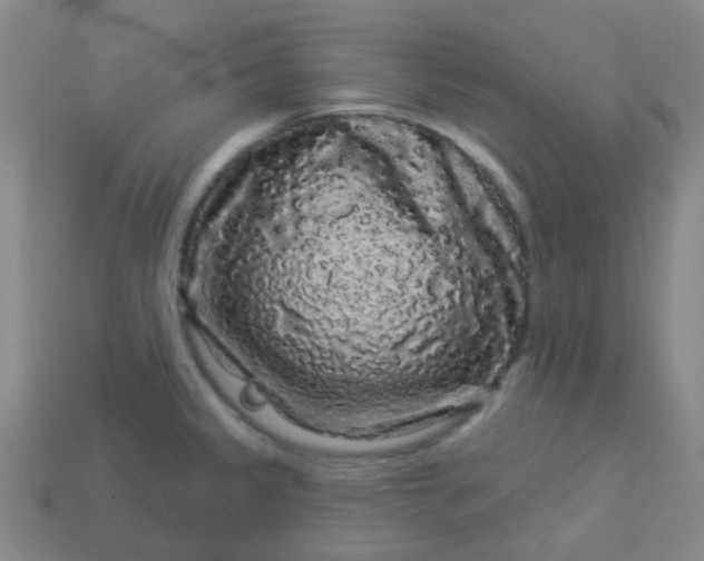 X0000114121333200910191715