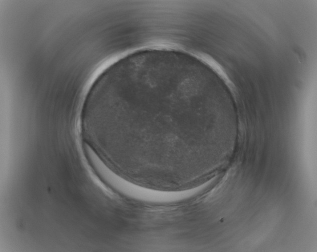 X0000114121335200910191715