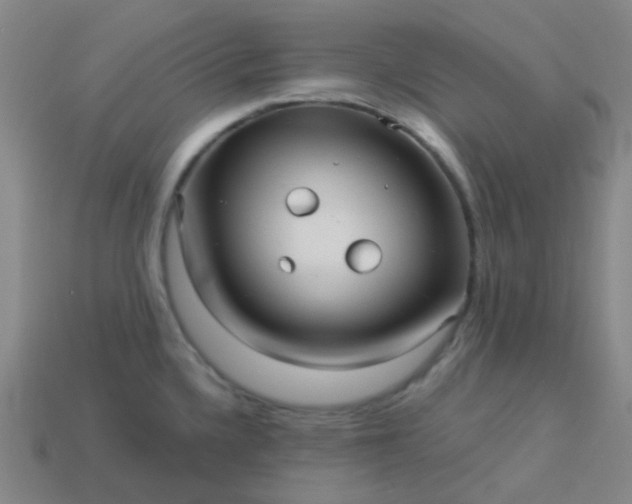 X0000114121336200910191715