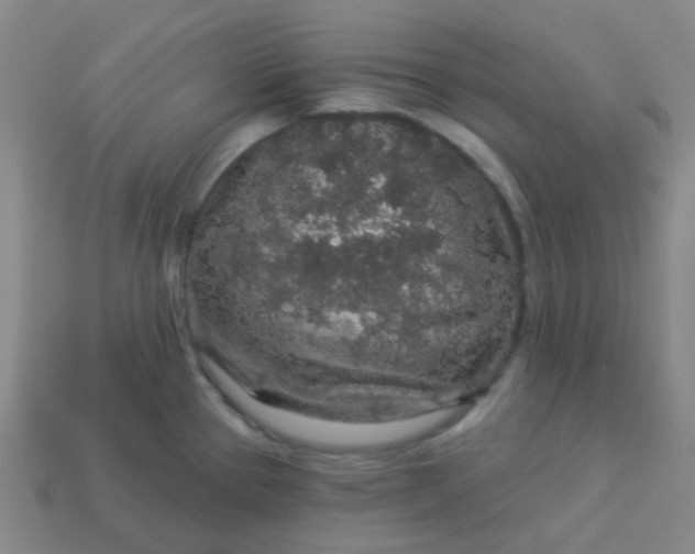 X0000114121337200910191715