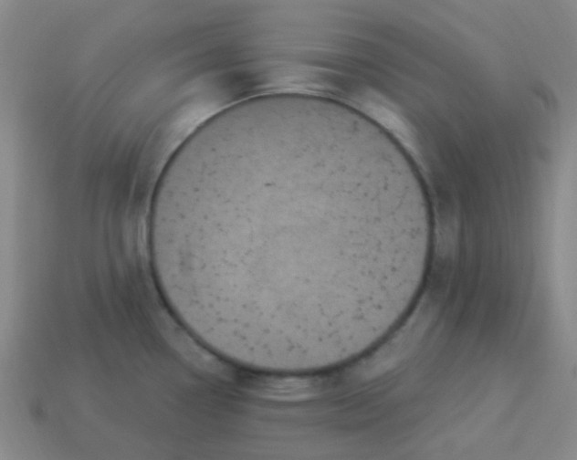 X0000114121338200910191715