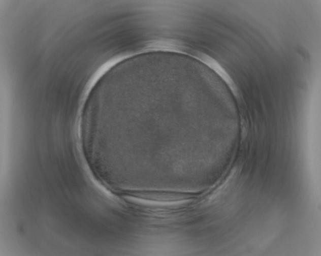 X0000114121339200910191715