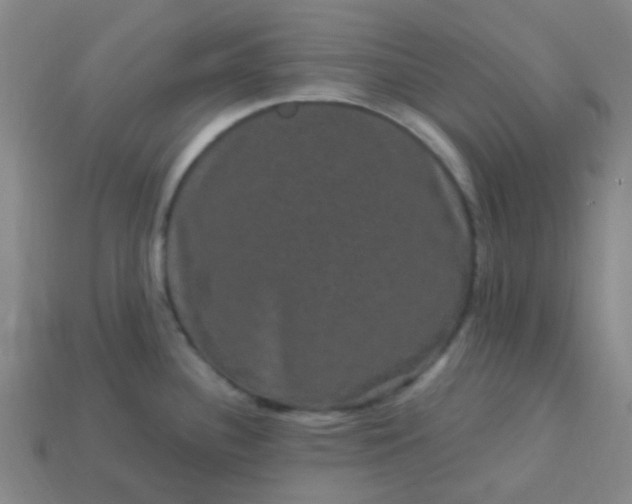 X0000114121340200910191715