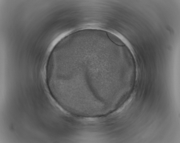 X0000114121341200910191715