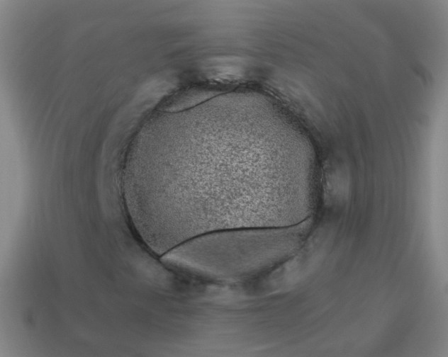 X0000114121345200910191715