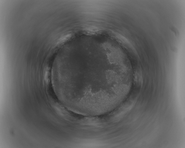 X0000114121346200910191715