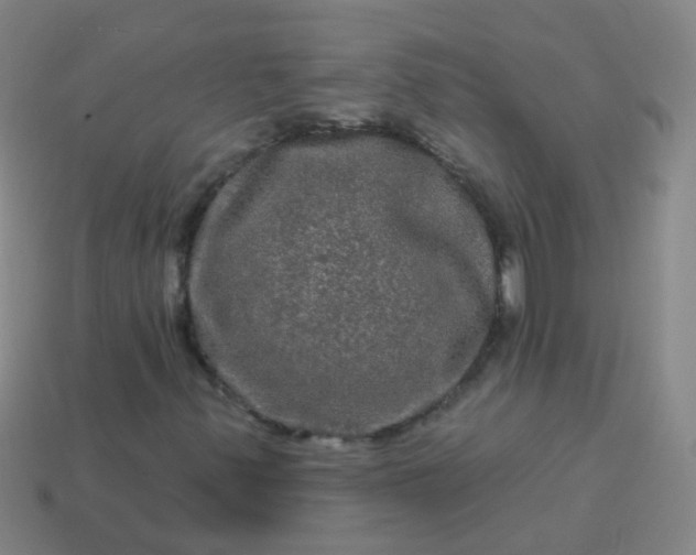 X0000114121347200910191715