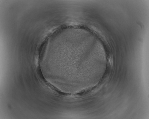 X0000114121348200910191715