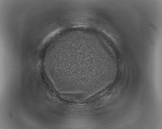 X0000114121351200910191715