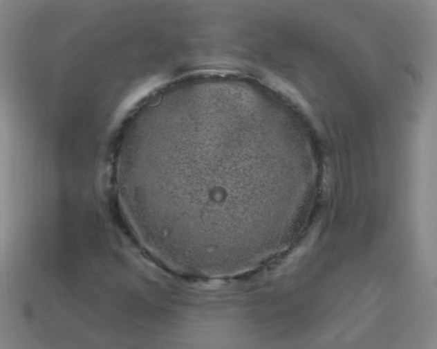 X0000114121352200910191715