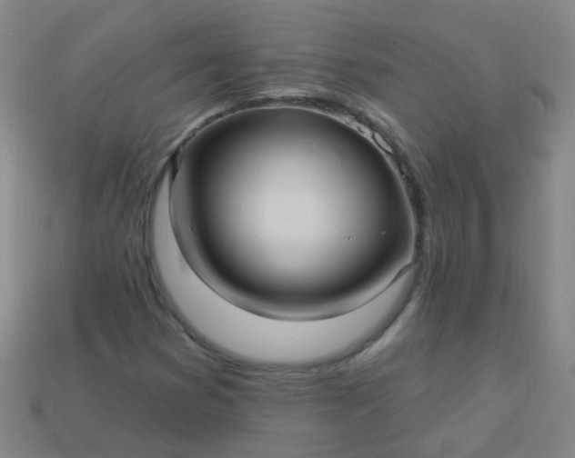 X0000114121353200910191715