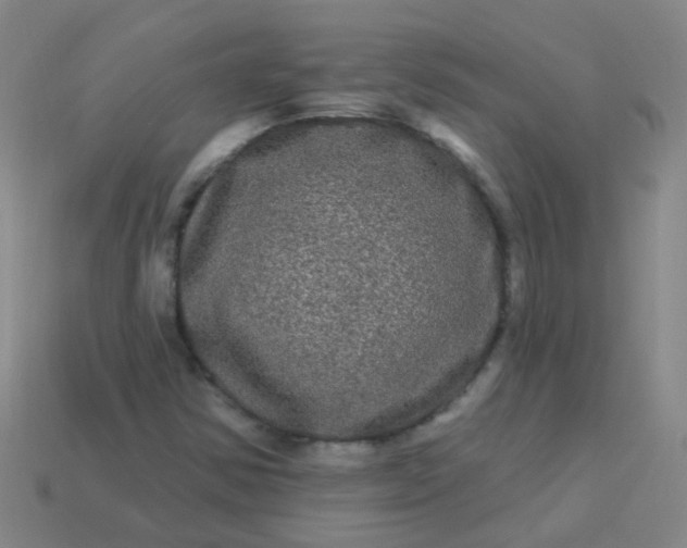 X0000114121354200910191715