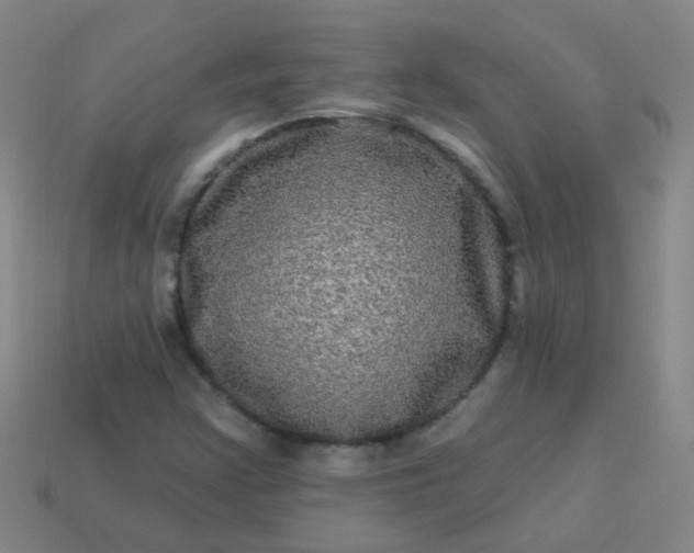 X0000114121355200910191715