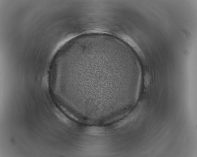 X0000114121356200910191714