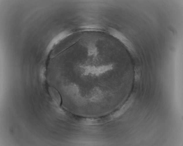 X0000114121357200910191714