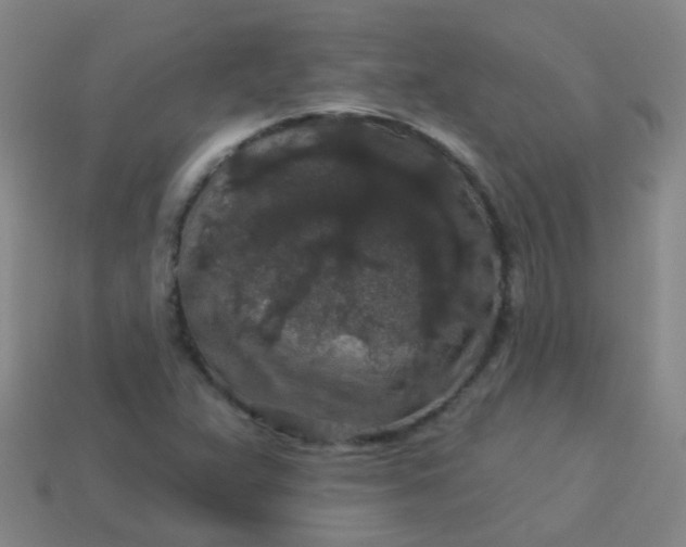 X0000114121359200910191714