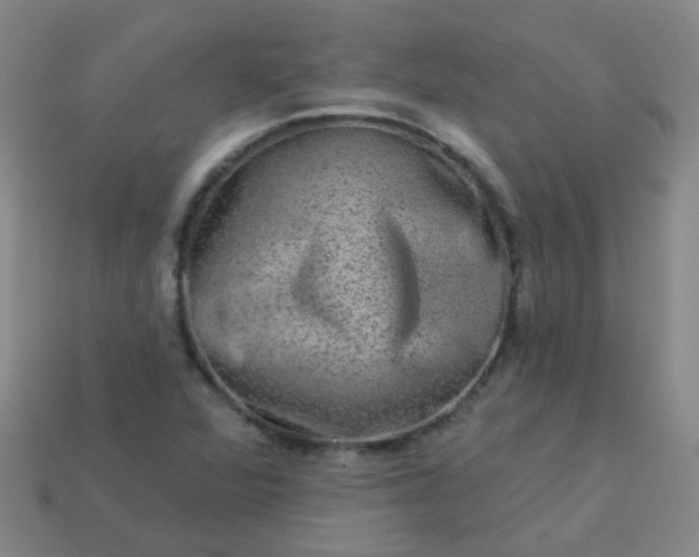 X0000114121360200910191714