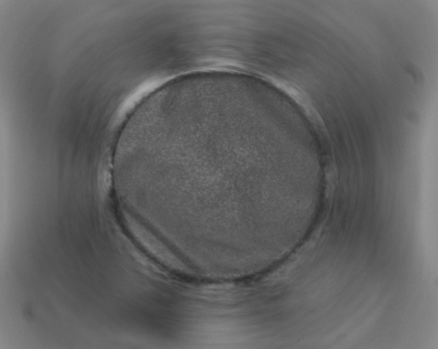 X0000114121363200910191714