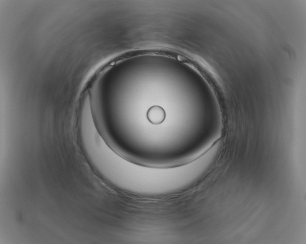 X0000114121364200910191714