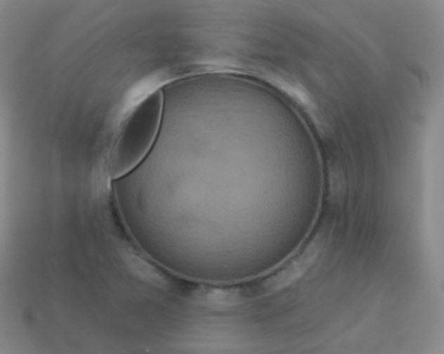 X0000114121365200910191714