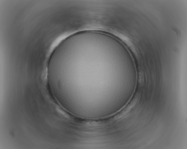 X0000114121366200910191714