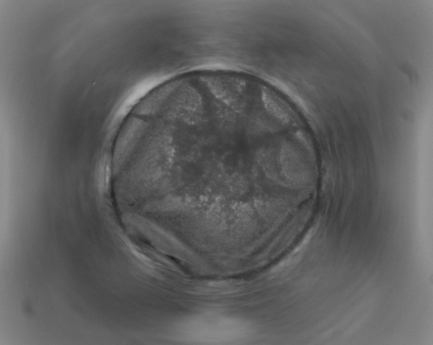 X0000114121367200910191714