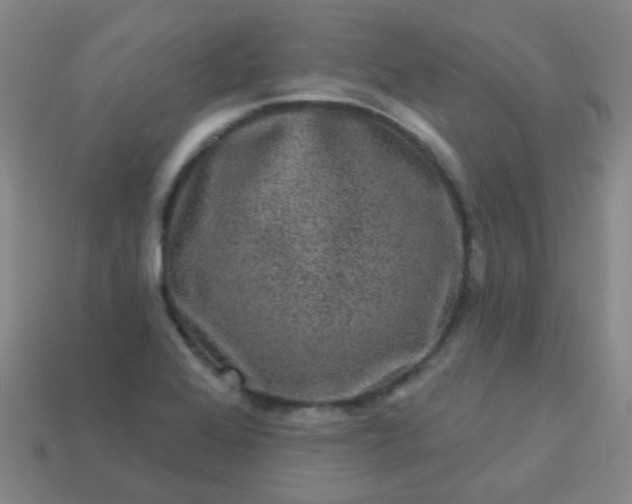 X0000114121368200910191714