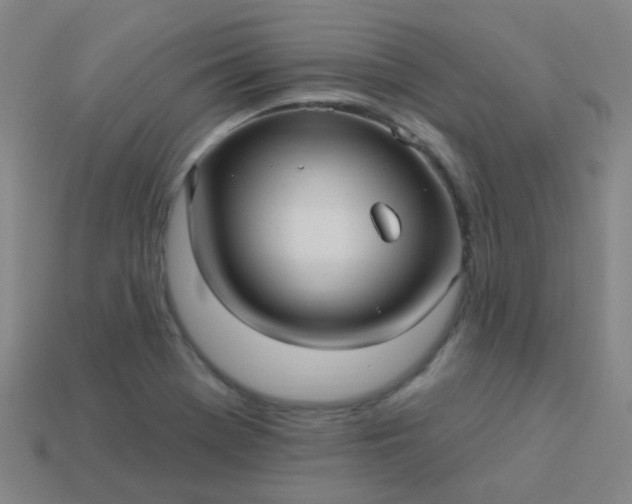 X0000114121369200910191714