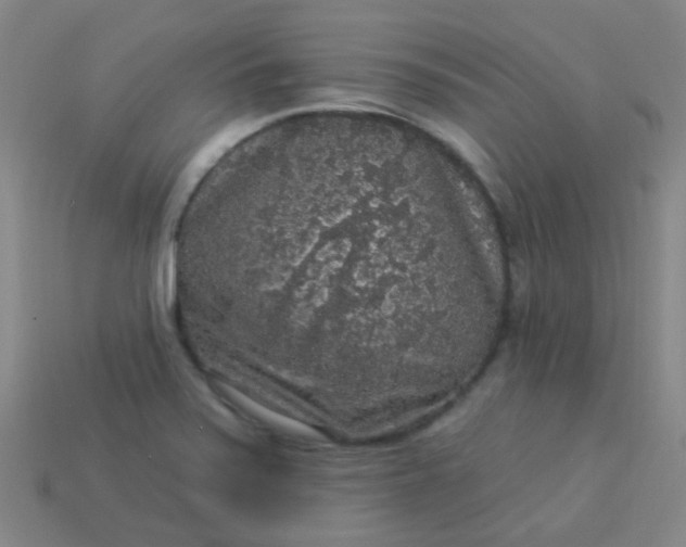 X0000114121371200910191714