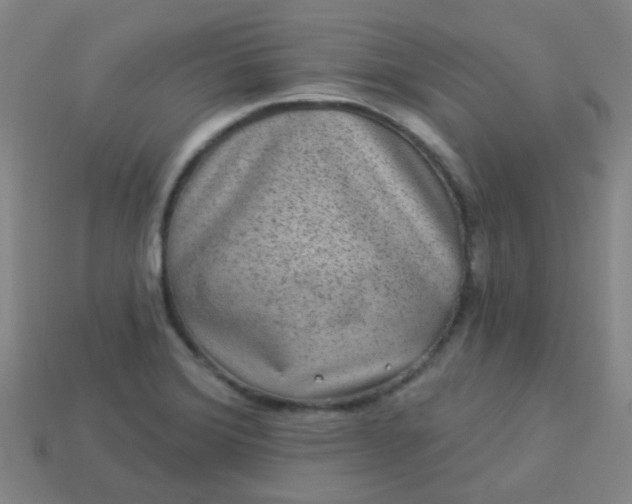 X0000114121372200910191714