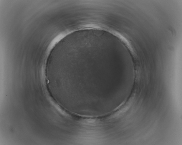 X0000114121373200910191714