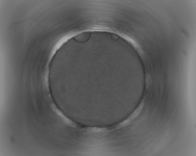 X0000114121374200910191714