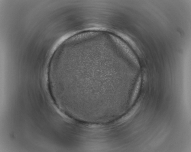 X0000114121375200910191714