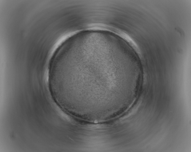 X0000114121376200910191714