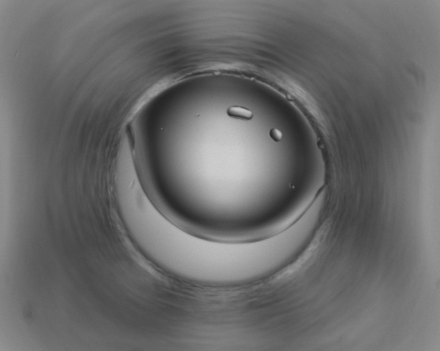 X0000114121377200910191714