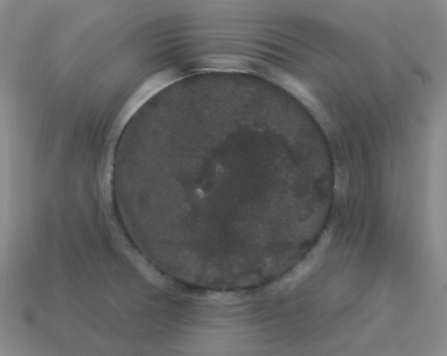 X0000114121378200910191714