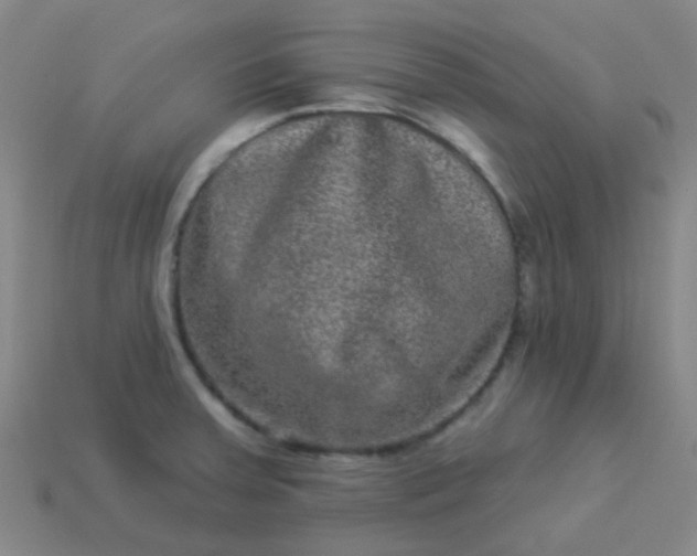 X0000114121379200910191714