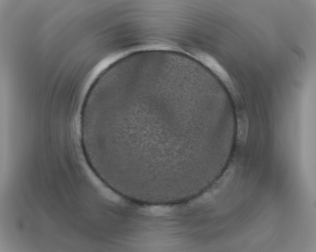 X0000114121380200910191714