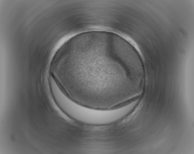 X0000114121381200910191714