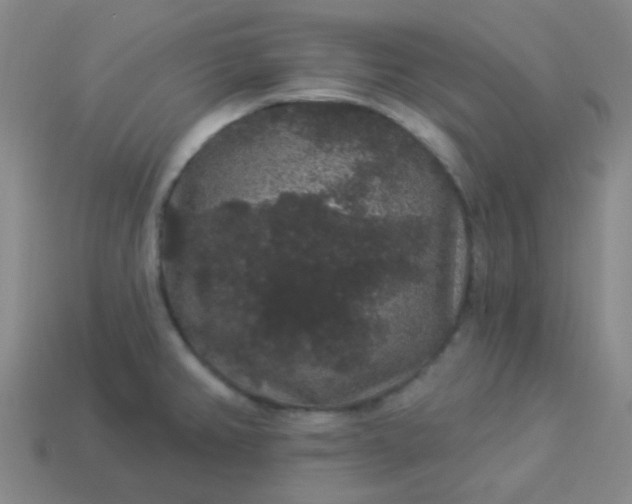 X0000114121382200910191714