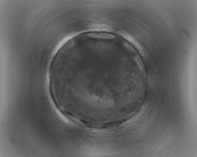 X0000114121383200910191714