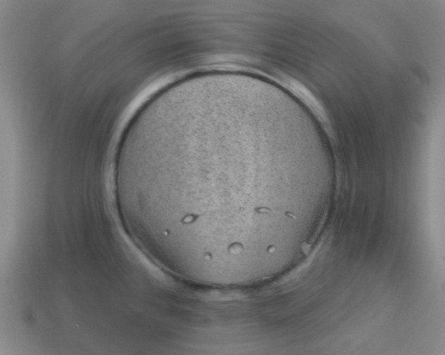 X0000114121384200910191714