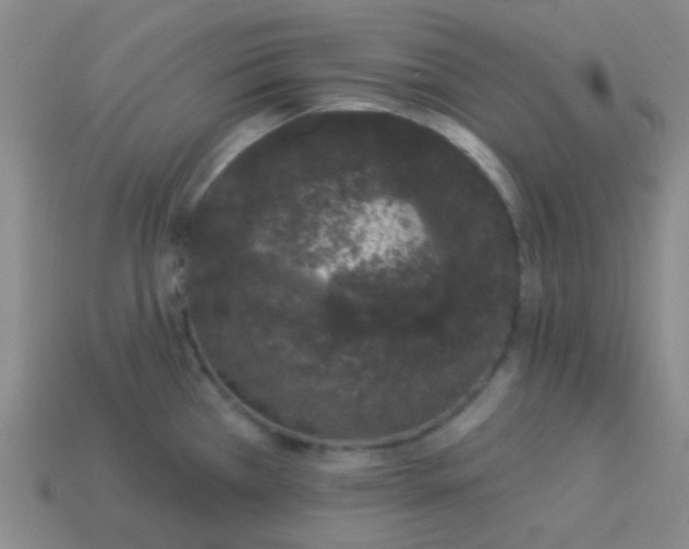 X0000114121385200910191714