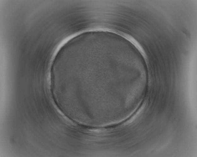 X0000114121388200910191714