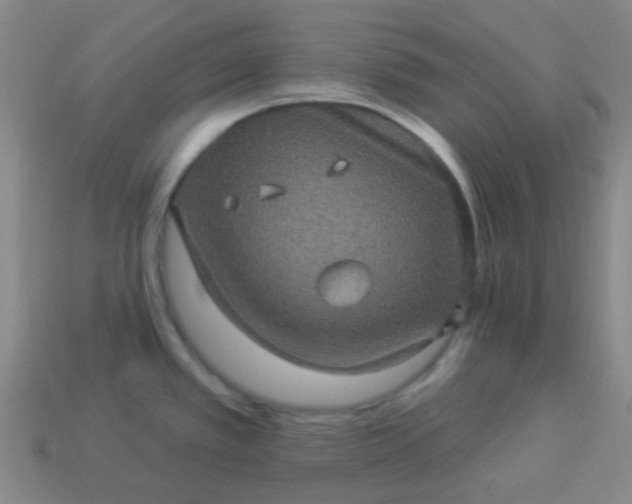 X0000114121389200910191714