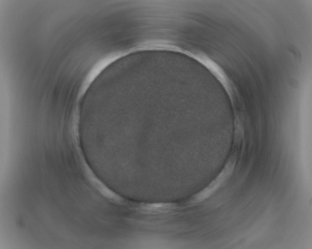 X0000114121390200910191714