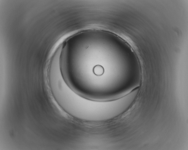 X0000114121392200910191714